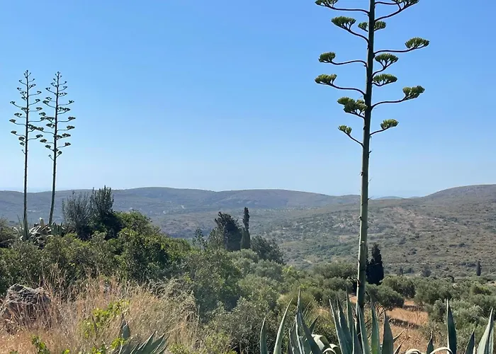 别墅 19th Century Vaulted